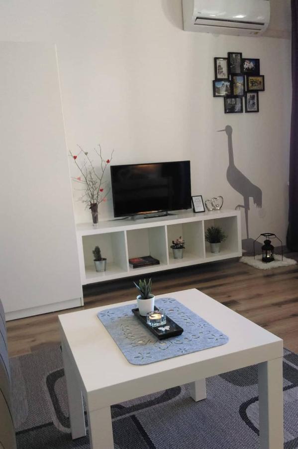 Studio Apartman Zdral Дарувар Екстер'єр фото
