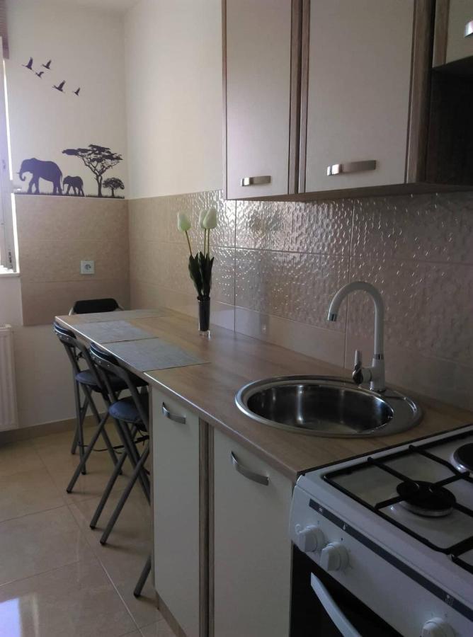 Studio Apartman Zdral Дарувар Екстер'єр фото