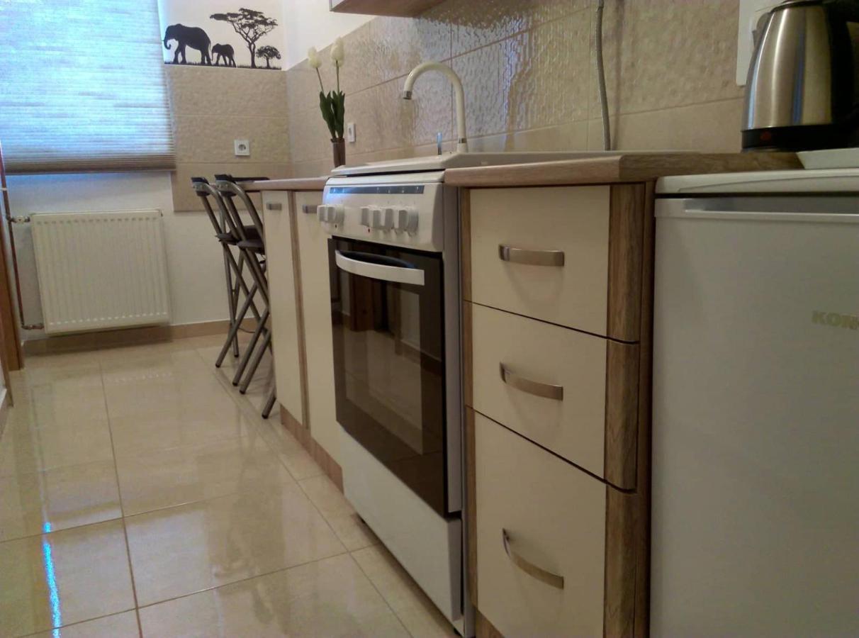 Studio Apartman Zdral Дарувар Екстер'єр фото
