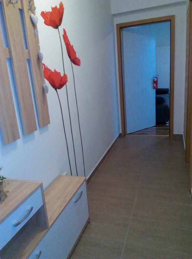 Studio Apartman Zdral Дарувар Екстер'єр фото