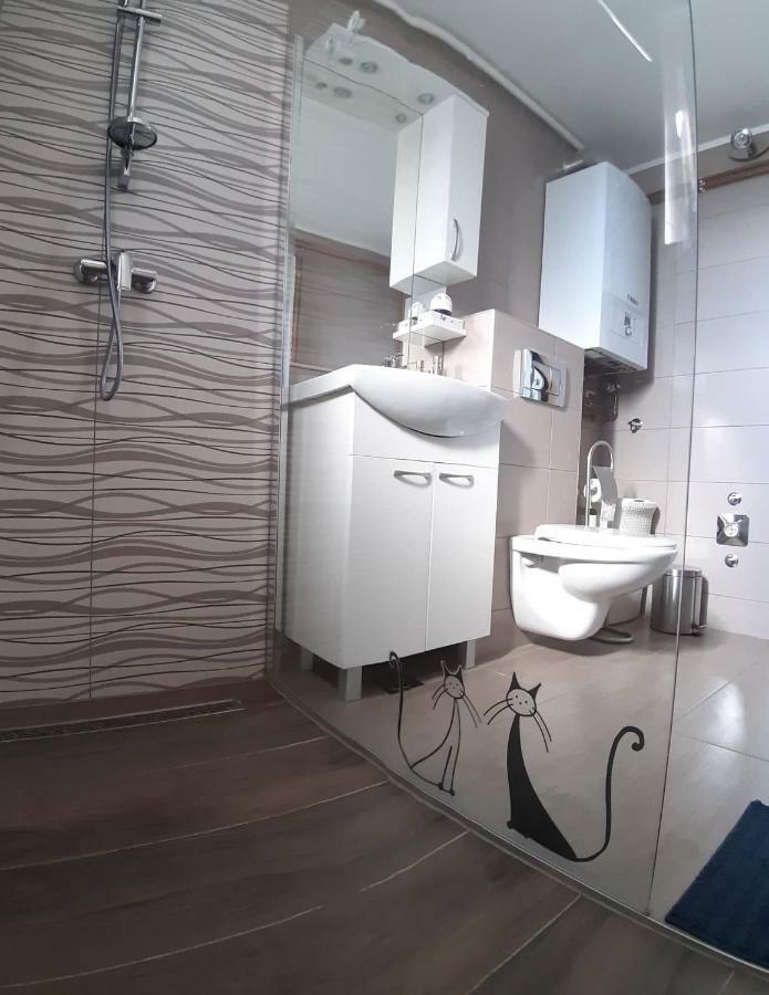 Studio Apartman Zdral Дарувар Екстер'єр фото